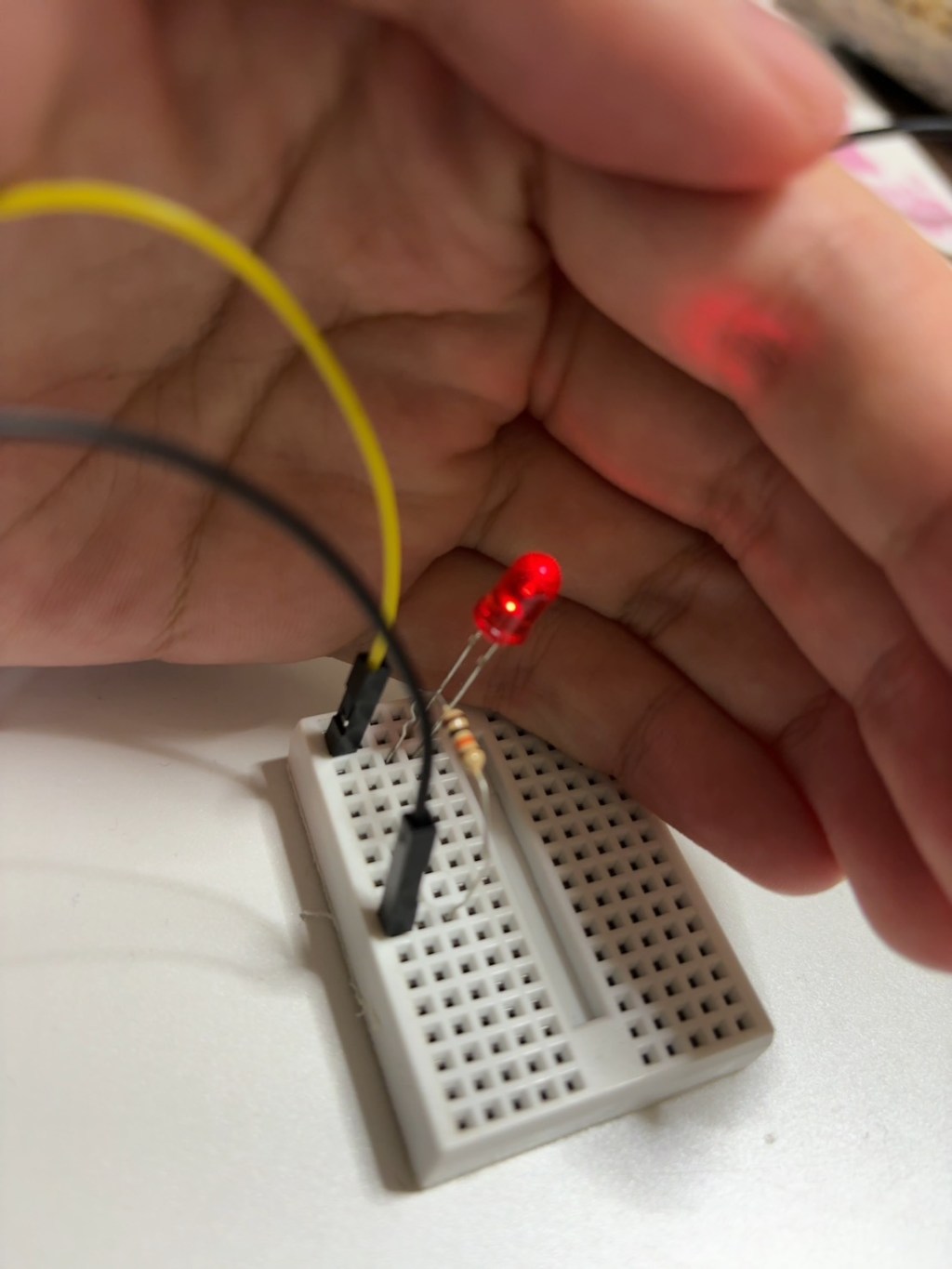 簡単LED点灯：Raspberry Piの基礎